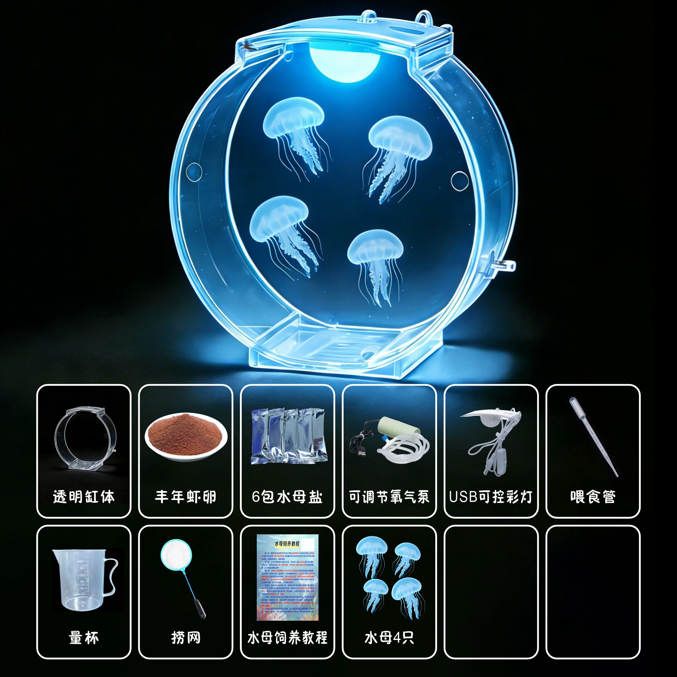 赤月水母活物新手套餐巴布亚硝海月海洋动物学生礼物儿童桌面小宠