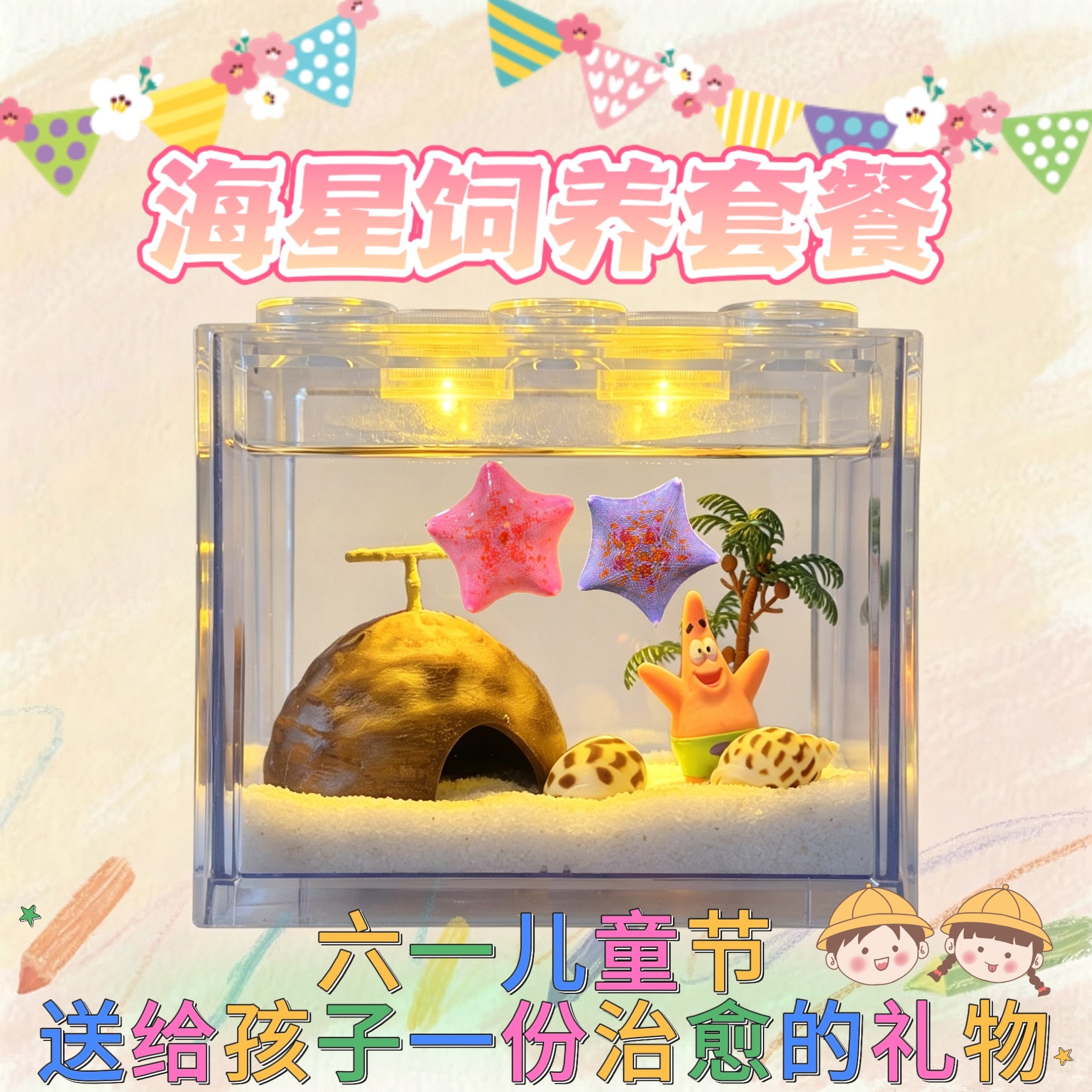 网红海星迷你海洋爬宠豪华