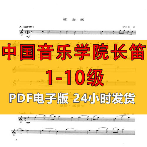 中国音乐学院艺术水平考级全国长笛1-10级海外业余长笛1-10级