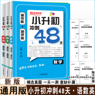 英语 小升初习题 练习册 25版 测评版 数学 辅导版 训练搭配精选真题一天一练培优提升规划训练冲刺提升 阳光同学小升初冲刺48天语文
