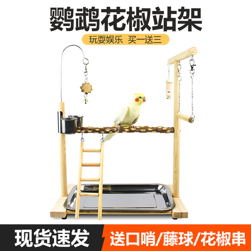 牡丹玄凤鹦鹉站架鹦鹉买一送三