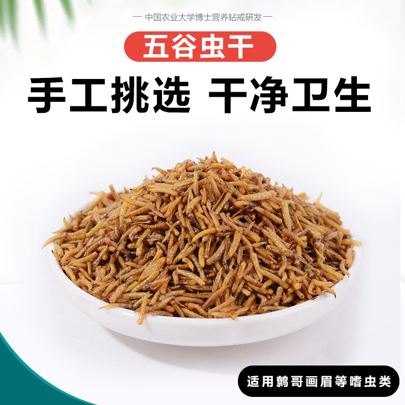 开元八哥鹩哥画眉面包虫干五谷虫