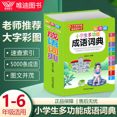 新版小学生多功能成语词典大字
