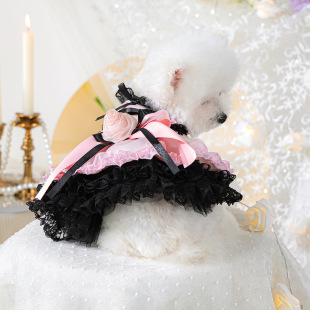 PETCIRCLE宠物圈春夏宠物服装 狗狗猫猫衣服黑莓甜心蓬蓬裙