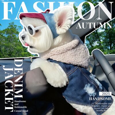 PETCIRCLE宠物衣服狗狗猫猫服装服饰帅气可爱摇滚帅气牛仔衣集合