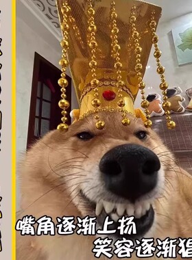 宠物皇帝帽猫咪帽子搞怪创意古代秦始皇头冠cos拍照出片宫廷头饰
