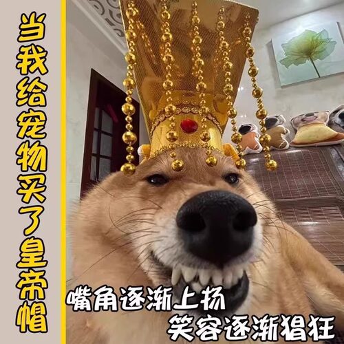 宠物皇帝帽猫咪帽子搞怪创意古代秦始皇头冠cos拍照出片宫廷头饰