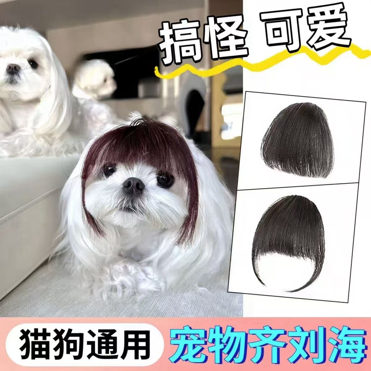 宠物猫咪假发波波头齐金三柜同款头套狗狗假发头套发饰金渐层刘海