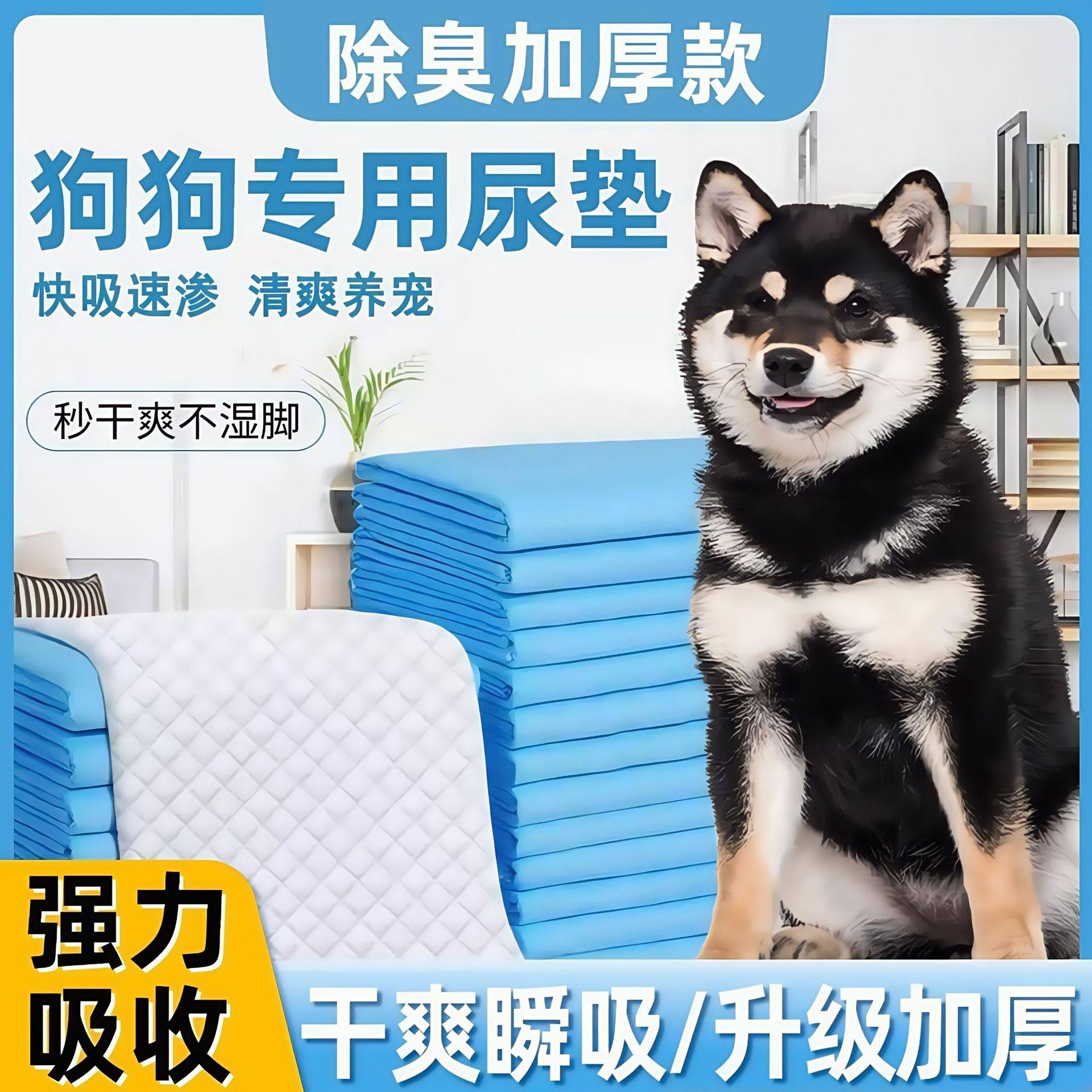 宠物尿垫加厚除臭吸水狗狗用隔尿垫引导上厕所一次性兔子猫用尿片,宠物/宠物食品及用品,尿片/尿垫/护垫,淘宝优惠券,粉丝福利购,淘宝优惠卷