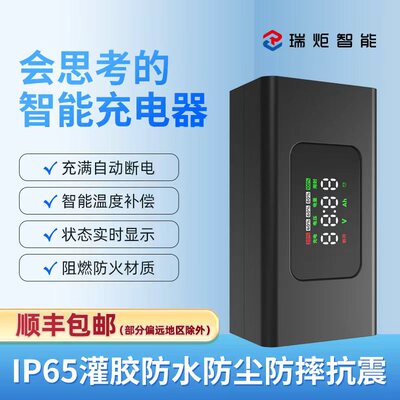 顺丰包邮！瑞炬适配爱玛雅迪台铃等电动车充电器60V72V20Ah石墨烯