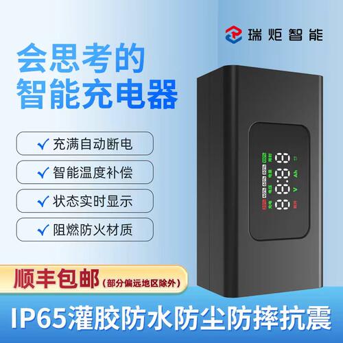 顺丰包邮！瑞炬适配爱玛雅迪台铃等电动车充电器60V72V20Ah石墨烯