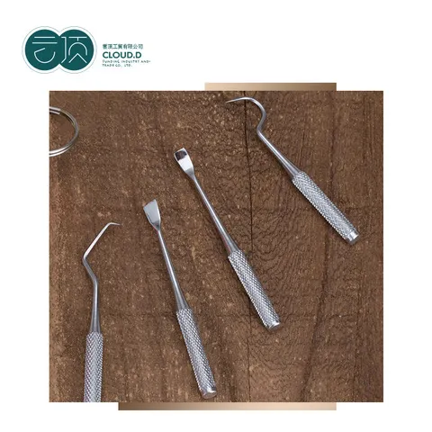 牙签新款牙齿-304工具便携式剔牙口腔工具套装水果签护理不锈钢,家庭/个人清洁工具,牙签,淘宝优惠券,粉丝福利购,淘宝优惠卷