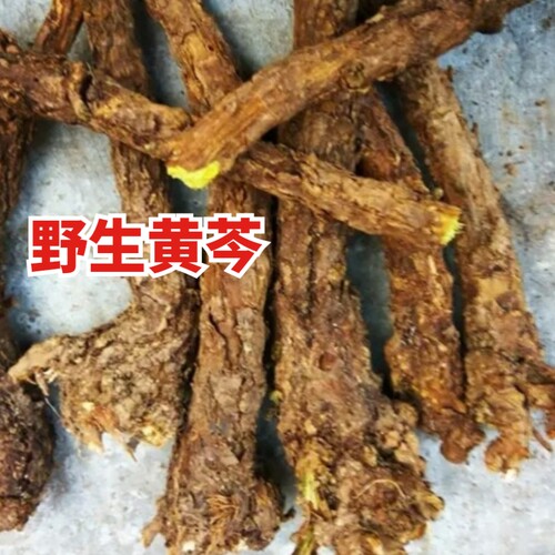 陕西优质正品无硫野生黄芩 手工切黄芩片  黄芩茶 黄芩500克