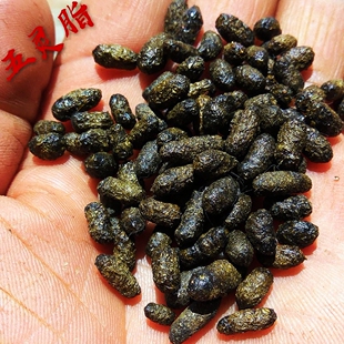 五灵脂 商洛山产地野生五灵脂 正品生五灵脂飞鼠屎 寒号鸟粪500克
