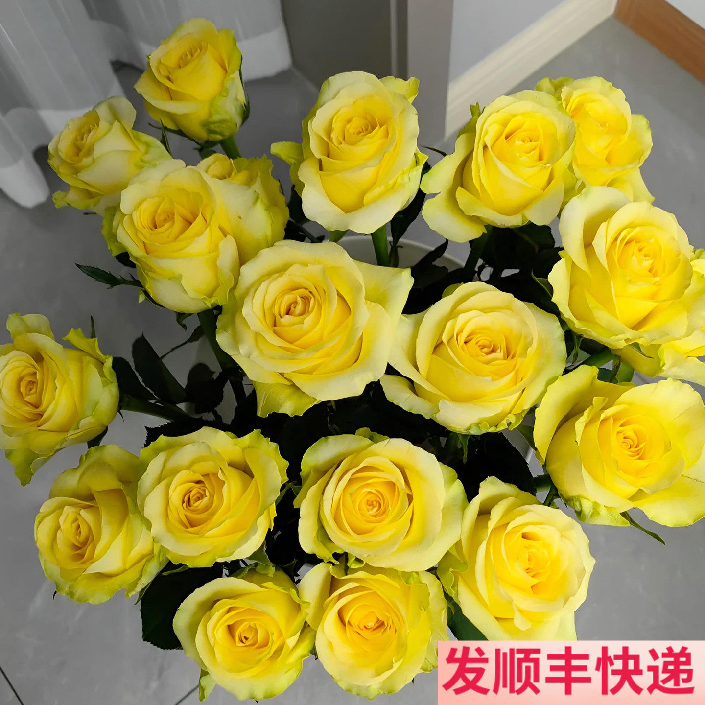 黄玫瑰鲜花云南斗南基地直发图片