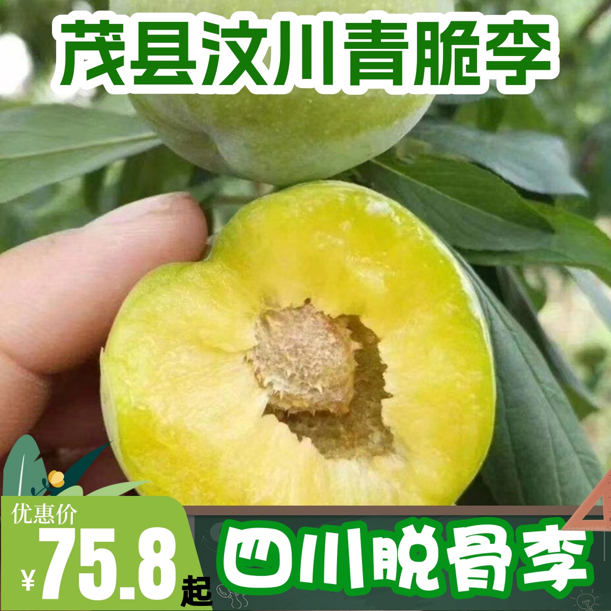 青脆脱骨空心茂县汶川土李子新鲜