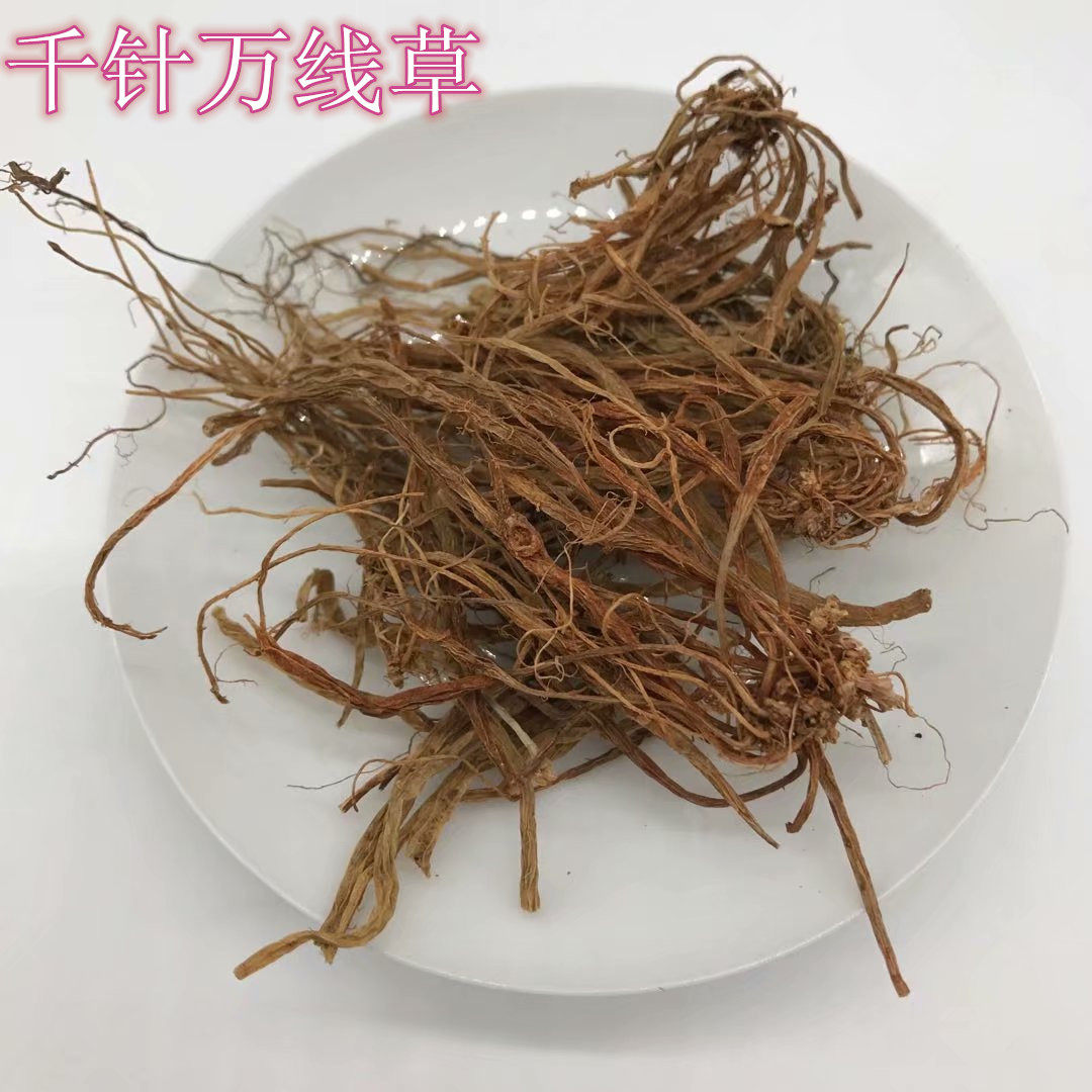 云南中药材 野生千针万线草 麦参小胖参 筋骨草无硫磺100克包邮