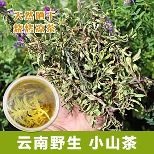 云南建水野生小山茶 红河凉茶 野山茶 东紫苏 凤尾草松毛茶梭罗茶