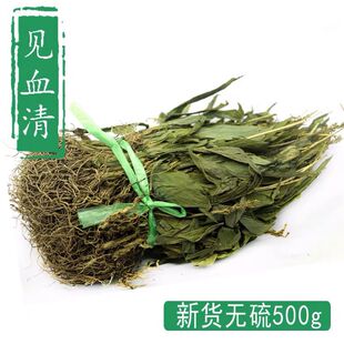 云南丽江见血清中药材整颗见血青草药羊儿蒜立地好今年新货晒干