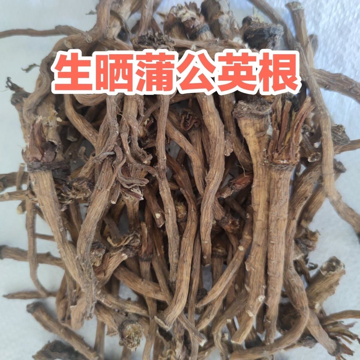 蒲公英根 中药材新货蒲公英野生整根干货婆婆丁根蒲公英根茶泡茶
