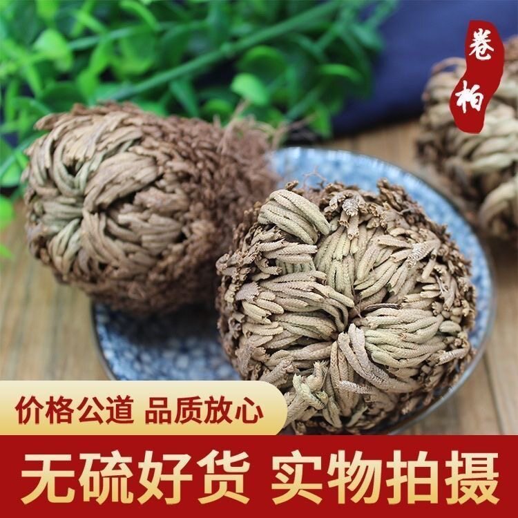 云南野生中药材九死还魂草 还魂草 卷柏 还阳草可盆栽正品包邮