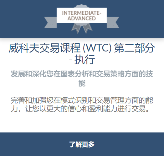 Wyckoff Trading Practicum Course 2019（WTC2) 中英字幕