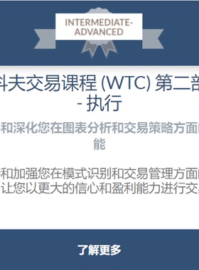 Wyckoff Trading Practicum Course 2021 中英字幕