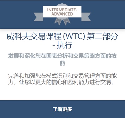 Wyckoff Trading Practicum Course 2021 中英字幕