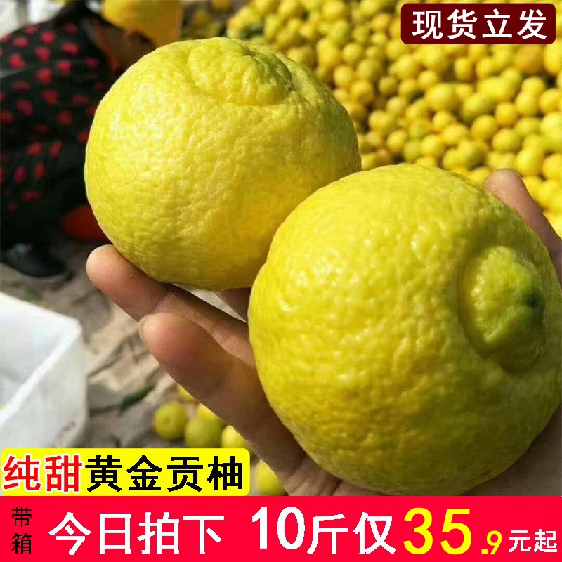 黄金贡柚湖南怀化洪江象山青柑橘春香甜桔柚礼盒10斤雪峰山小柚子