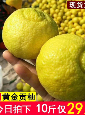 岩垅黄金贡柚湖南怀化洪江象山青柑橘春香甜桔柚礼盒雪峰山小柚子