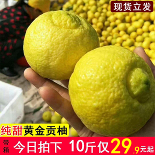 岩垅黄金贡柚湖南怀化洪江象山青柑橘春香甜桔柚礼盒雪峰山小柚子