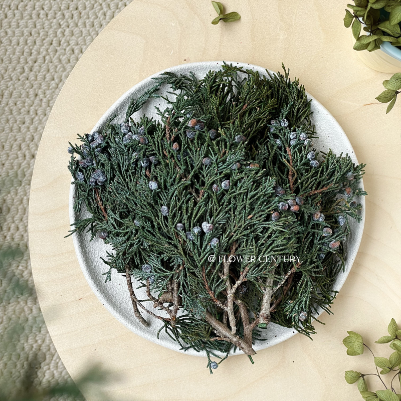 花纪永生花盒diy进口大地农园浮游瓶车挂花环圣诞配材の松柏叶