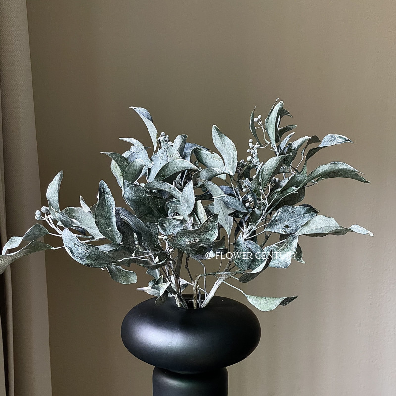 日本进口花纪永生花白欧石楠