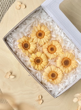 【花纪】florever大地农园FL481材料包diy非洲菊永生花整盒6朵