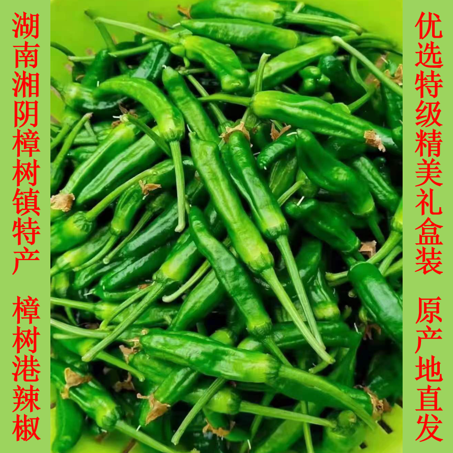 湖南樟树港辣椒头茬辣椒精品辣椒新鲜采摘产地直发农家自种小辣椒
