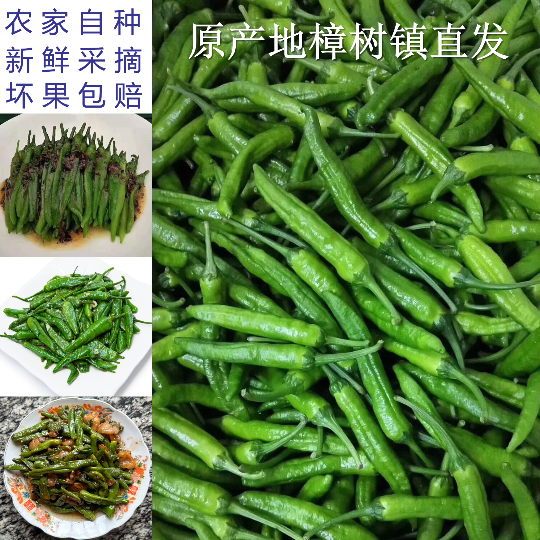 湖南正宗樟树港本地辣椒新鲜现摘