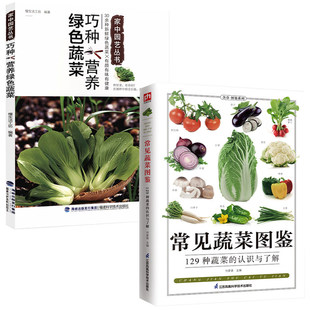 书籍 巧种营养绿色蔬菜 2册 常见蔬菜图鉴