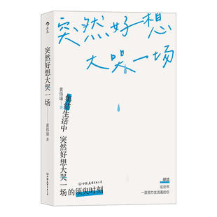 突然好想大哭一场 黄伟康治愈解压小说短篇故事集代表作你也很累吧与雨日肇事的爱等书籍