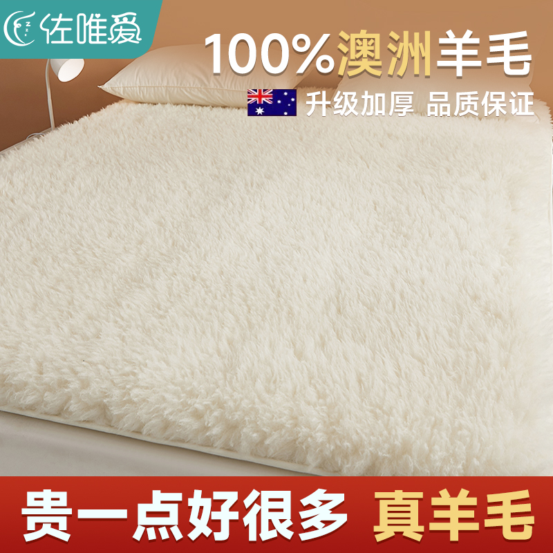 加厚毛毯垫子床垫羊毛毯子床上用