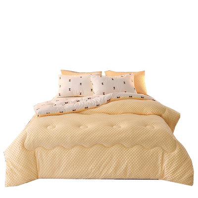 AB版豆豆绒被子2023新款加厚棉被