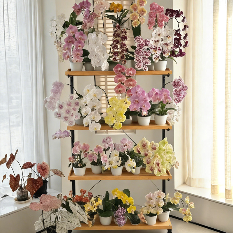 蝴蝶兰阳台花架子客厅落地式置物架实木花盆铁艺植物摆放多层带轮