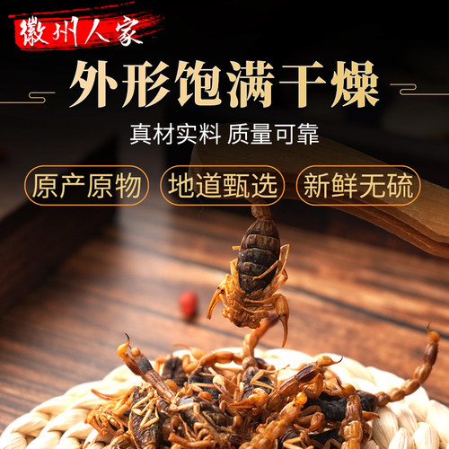 中药材全蝎清水干货全虫蝎子干全干