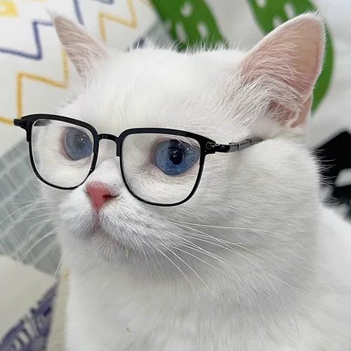 英短斯文多金猫眼镜宠物狗眼镜框