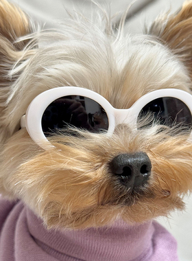 宠物眼镜潮酷网红狗狗拍照道具约克夏狗眼镜德文斯芬克斯猫墨镜
