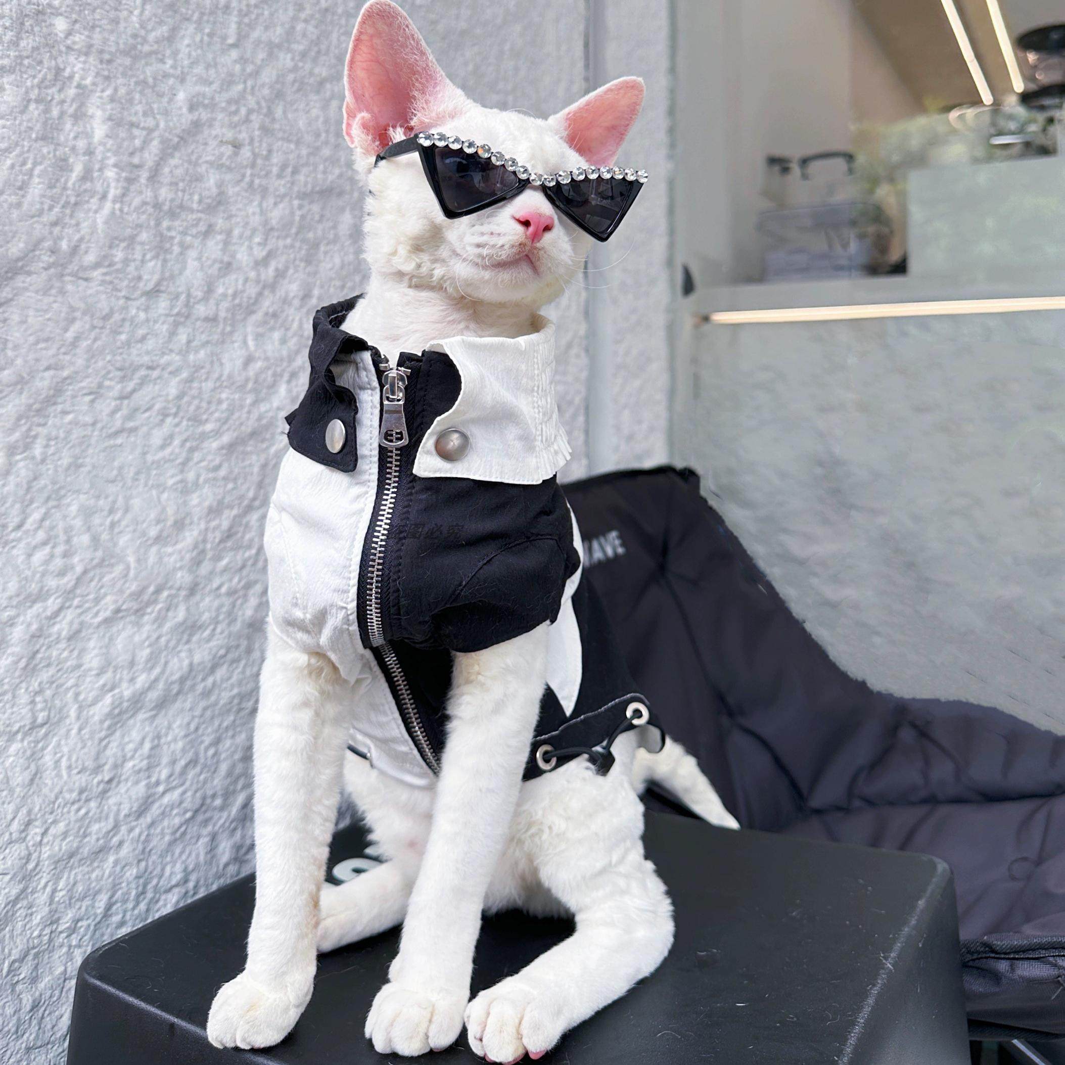 新品宠物高级眼镜狗狗闪钻泰迪约克夏马尔济斯西施三角墨镜宠物,宠物/宠物食品及用品,宠物眼镜/护目镜,淘宝优惠券,粉丝福利购,淘宝优惠卷