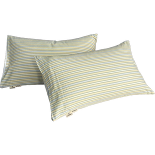 纯棉枕套一对装加厚老粗布单人学生宿舍家用48cmx74cm枕头套夏季