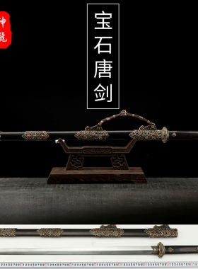 神龙宝剑精细研磨折叠锻打一体剑