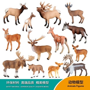 PL127 044跨境仿真野生动物大小霍加坡儿童实心塑料模型玩具 043