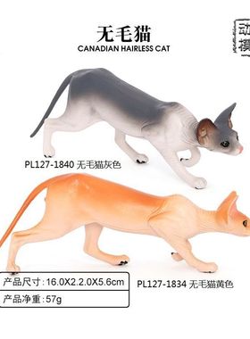 PL127-1834/1840仿真动物模型加拿大无毛猫家猫宠物猫玩具摆件