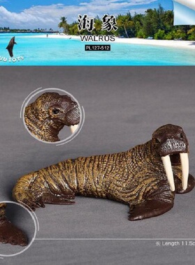 PL127-512仿真野生海洋动物可爱海象模型儿童实心塑料玩具